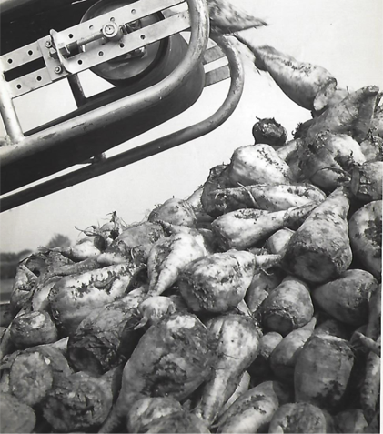 1960