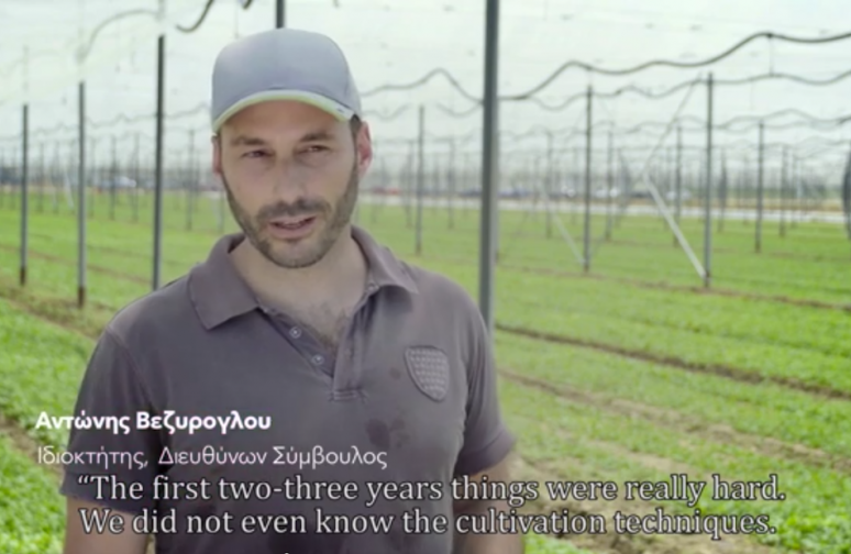 The stories of Antonis Vezyroglou and "the Vezyroglou Farm" by Rijk Zwaan