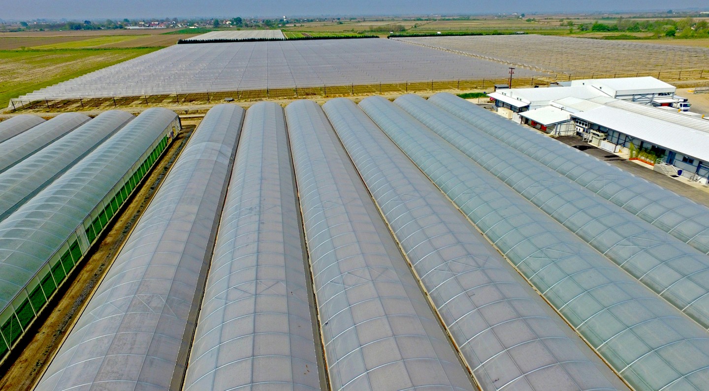 Αγρόκτημα Βεζύρογλου – “Πάνω από 100 στρέμματα θερμοκηπιακής καλλιέργειας”