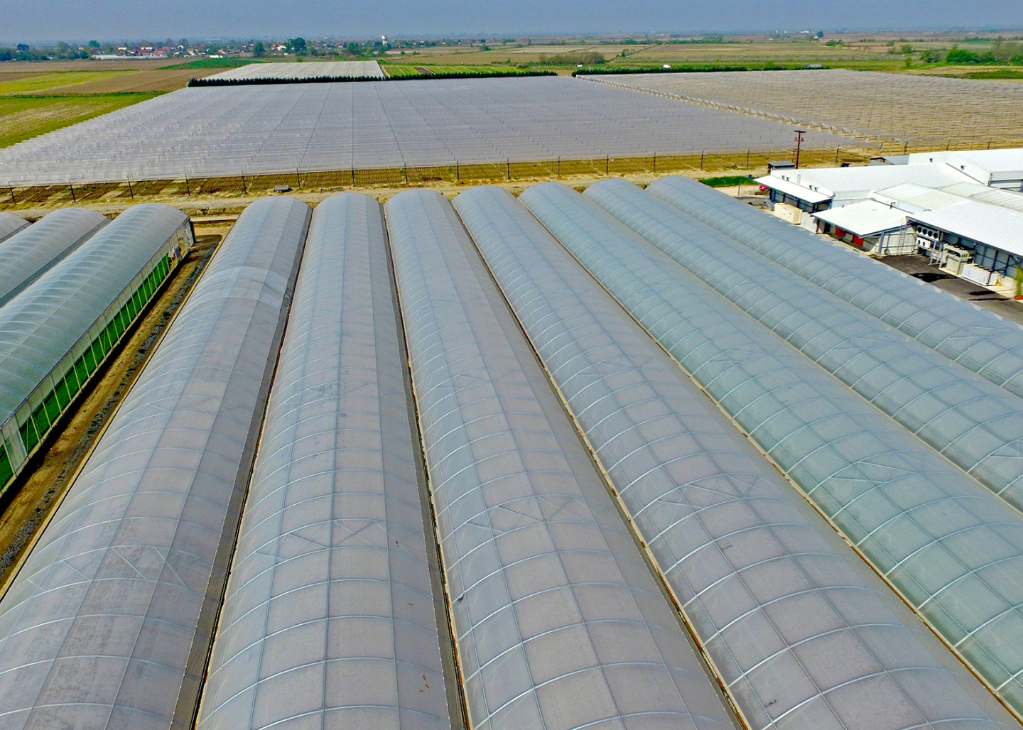 Vezyroglou Farm - "Over 10 hectacres of greenhouse cultivation"