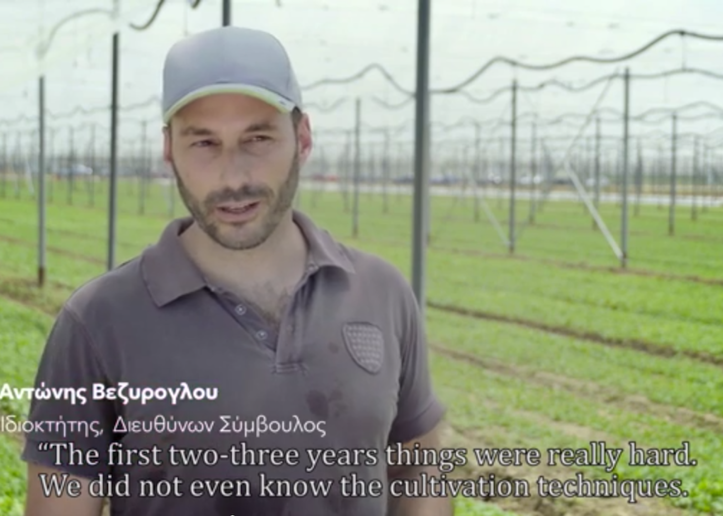 The stories of Antonis Vezyroglou and "the Vezyroglou Farm" by Rijk Zwaan