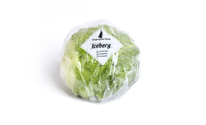 Iceberg lettuce